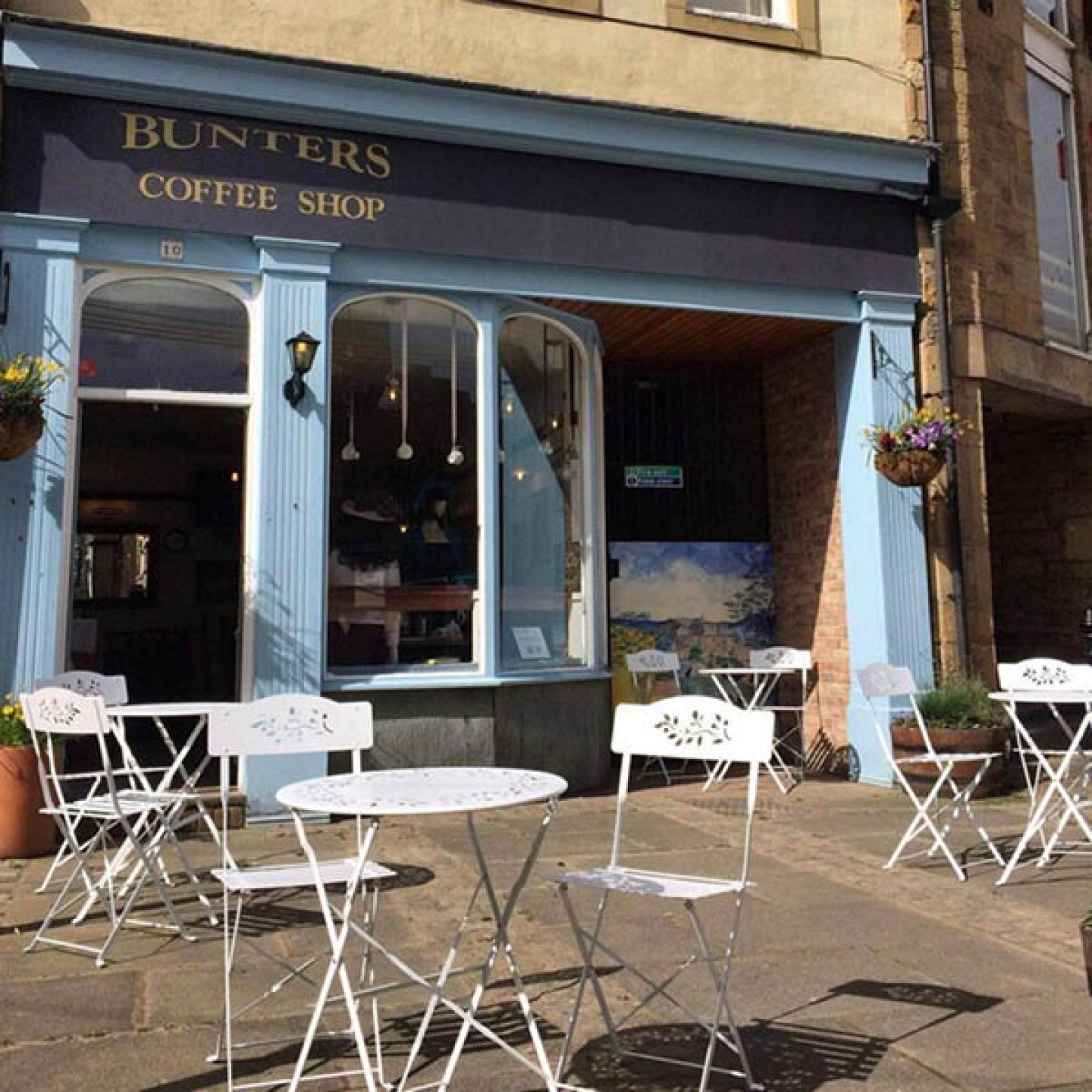 DogFriendly Cafs in Northumberland Living North